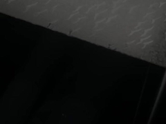 صفائح البوليسترين