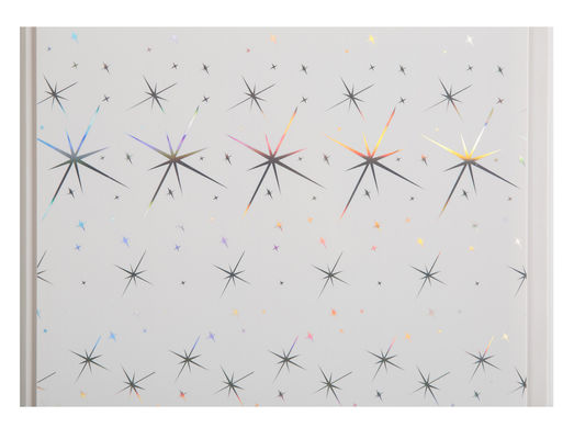 اقتصادي زخرفي ماء جدار لوح لحمام 25cm 30cm عرض