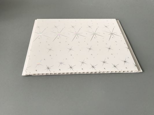 اقتصادي زخرفي ماء جدار لوح لحمام 25cm 30cm عرض