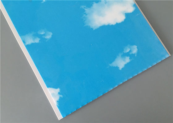 السماء الزرقاء المرآب منظمة لوحات الحائط، لوحات الحائط لامينات للحمامات