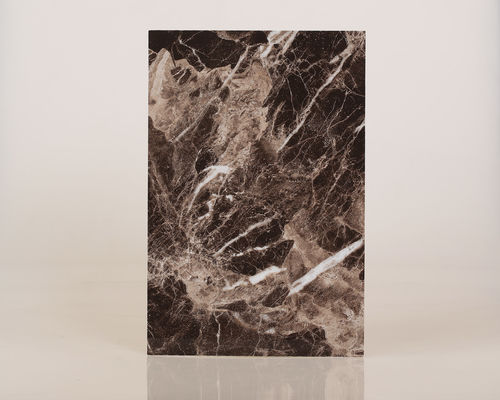 مقاوم للماء صفح لوحات الحائط للحصول على دش مرفقات مقاومة للتآكل